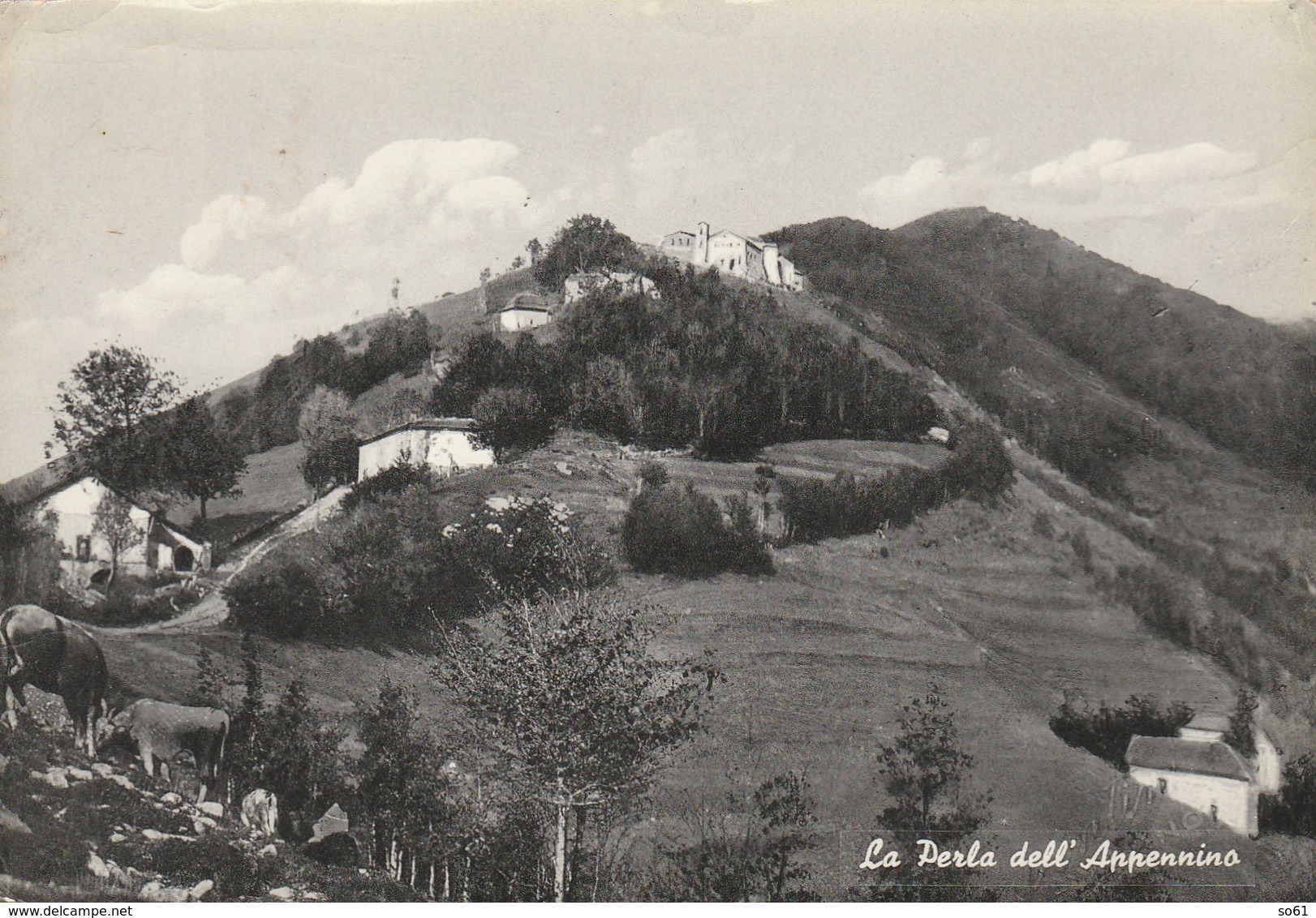 7582.   La Perla Dell'Appennino - S. Pellegrino In Alpe - Castiglione Garfagnana 1956 Per Geometra Viareggio - Altri & Non Classificati