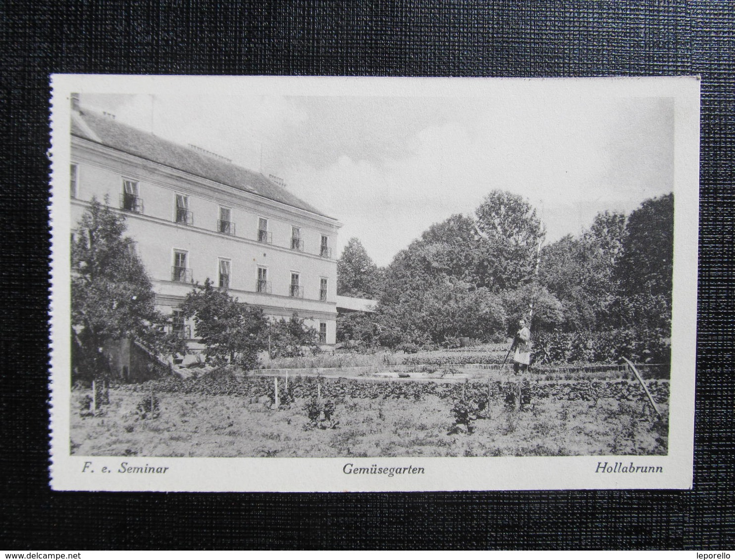 AK HOLLABRUNN Seminar Ca.1920  ////  D*29863 - Hollabrunn