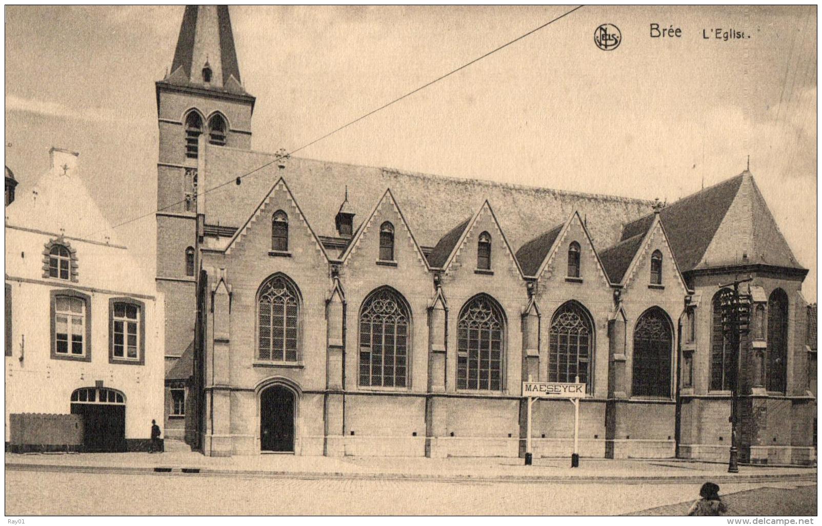 BELGIQUE - LIMBOURG - BREE - L'Eglise. - Bree