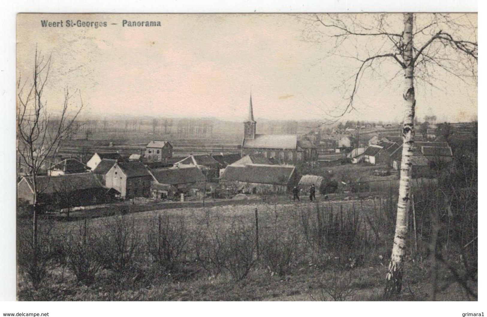 Weert St-Georges - Panorama - Oud-Heverlee