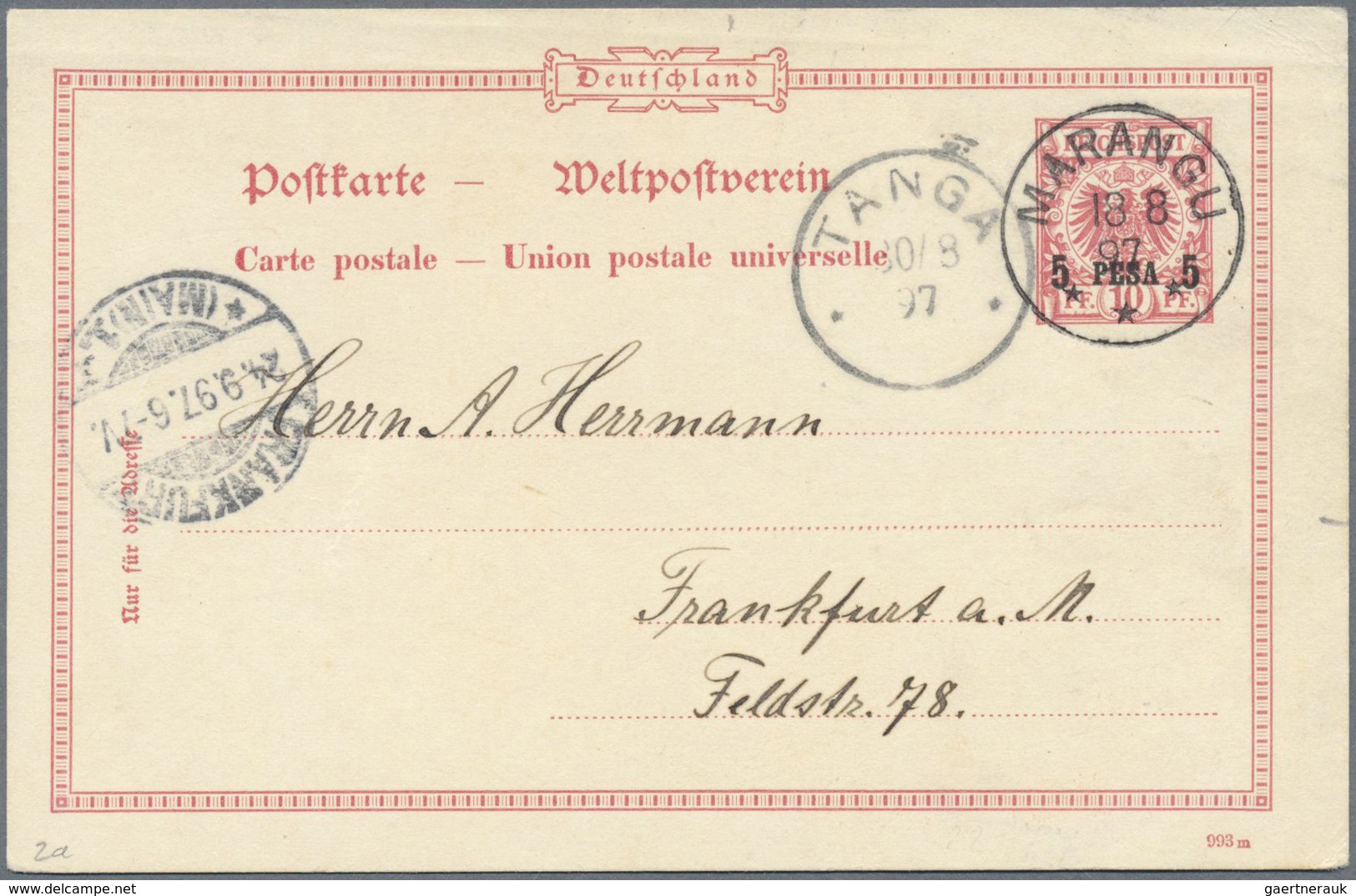 GA Deutsch-Ostafrika - Stempel: 1897, "MARANGU" Luxusabschlag Vom 18.8.97 Auf 5 Pesa GA-Karte Mit Inter - Africa Orientale Tedesca