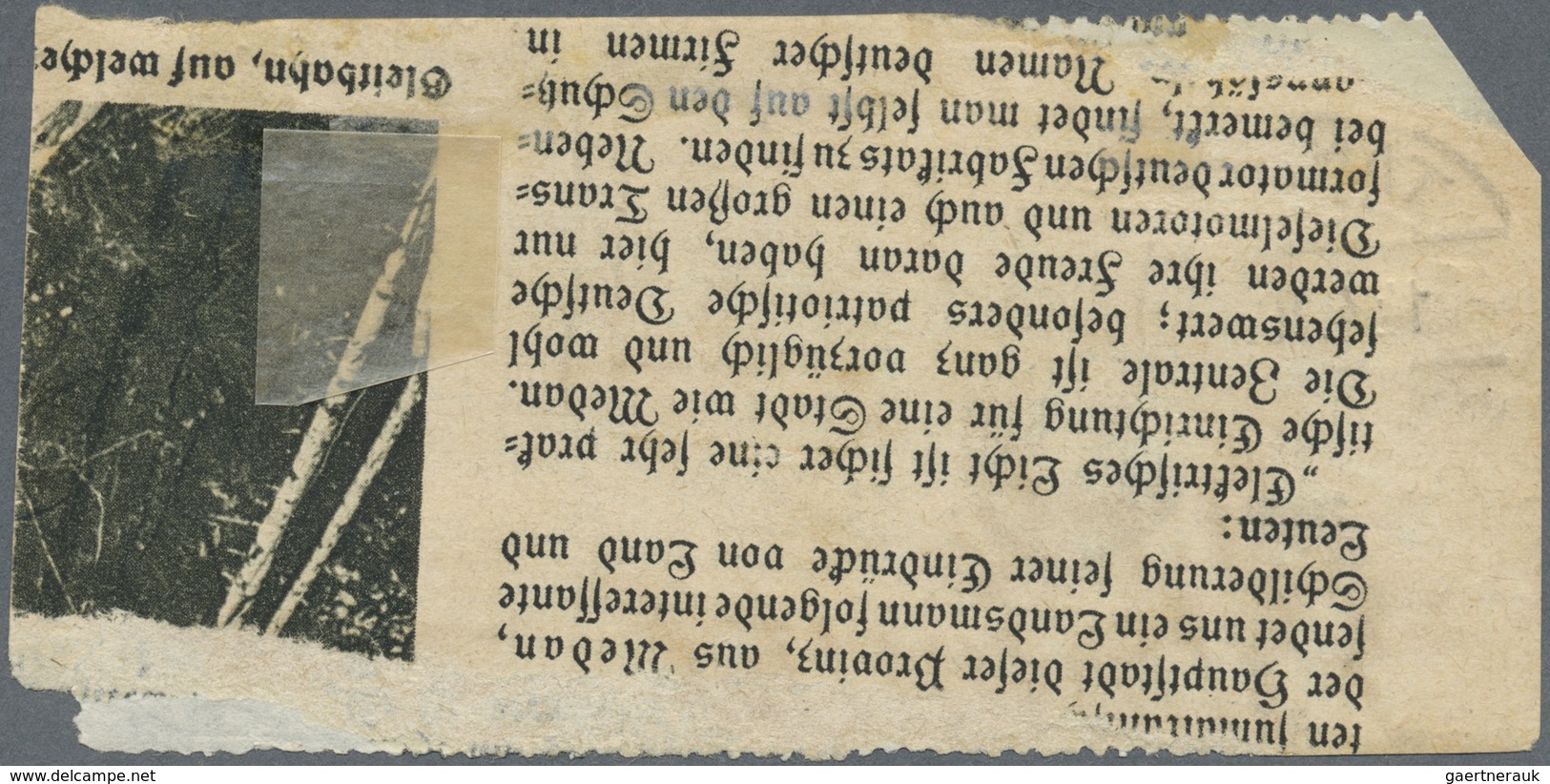 Br Deutsch-Ostafrika - Besonderheiten: 1916, "2 1/2 Heller Frei Laut Ein.Nachw. In Tanga" Violetter 2-Z - Africa Orientale Tedesca