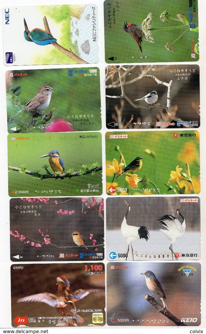 JAPON  LOT 10 CARTES DE TRANSPORT OISEAUX - Sperlingsvögel & Singvögel