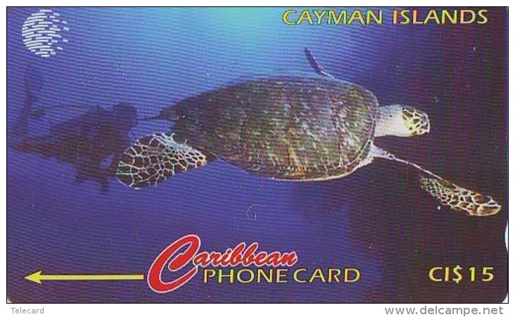 Télécarte * CAYMAN ISLANDS * TURTLE *  (2271)  PHONECARD  * TORTUE *  TELEFONKARTE * SCHILDKRÖTE - Turtles