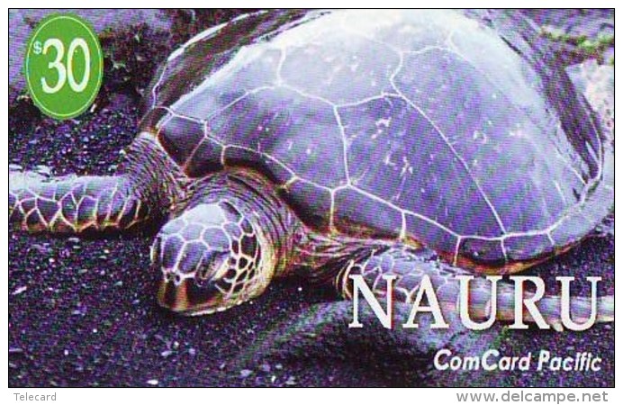 Télécarte * NAURU * TURTLE (2280)  PHONECARD * TORTUE * TELEFONKARTE * SCHILDKRÖTE - Schildpadden