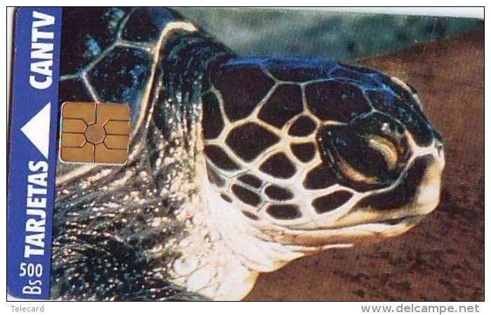 Télécarte à Puce VENEZUELA - Animal (2287) TORTUE - TURTLE Chip Phonecard - SCHILDKRÖTE - Turtles