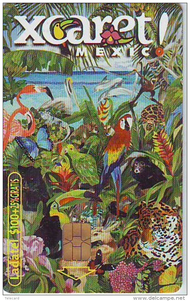 Télécarte à Puce MEXICO - Animal (2290) TORTUE - TURTLE Chip Phonecard - SCHILDKRÖTE * TELEFONKARTE - Turtles