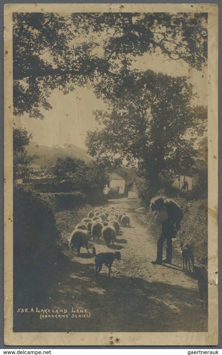 Br Lagerpost: Ruhleben: Incoming Mail: 1915, Unfrankierter Fotokarte Aus "AMBLESIDE 6.SP" In Das Lager - Sonstige & Ohne Zuordnung
