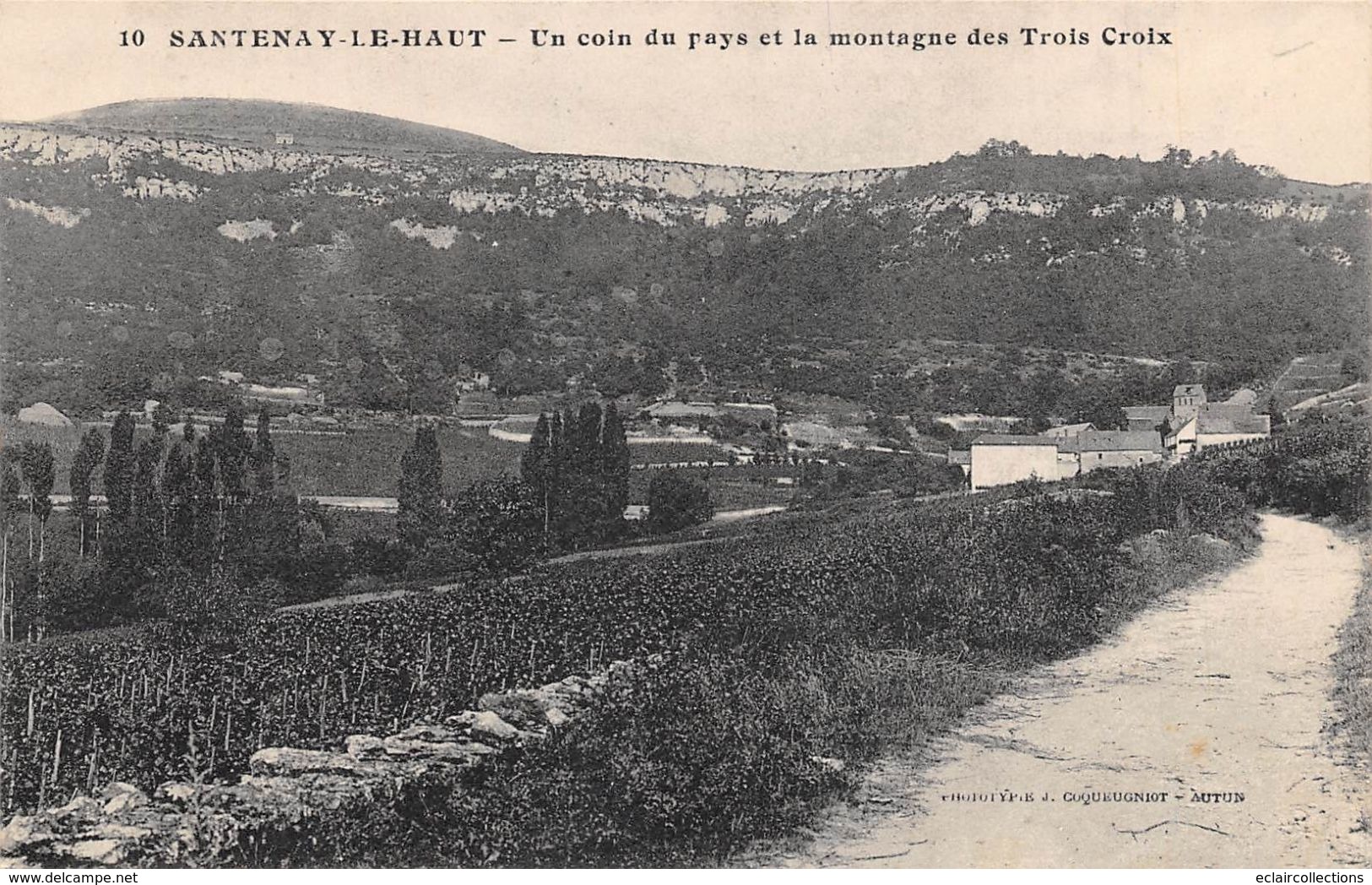 Santenay     21       Un Coin De La Montagne Des Trois Croix   (voir Scan) - Andere & Zonder Classificatie