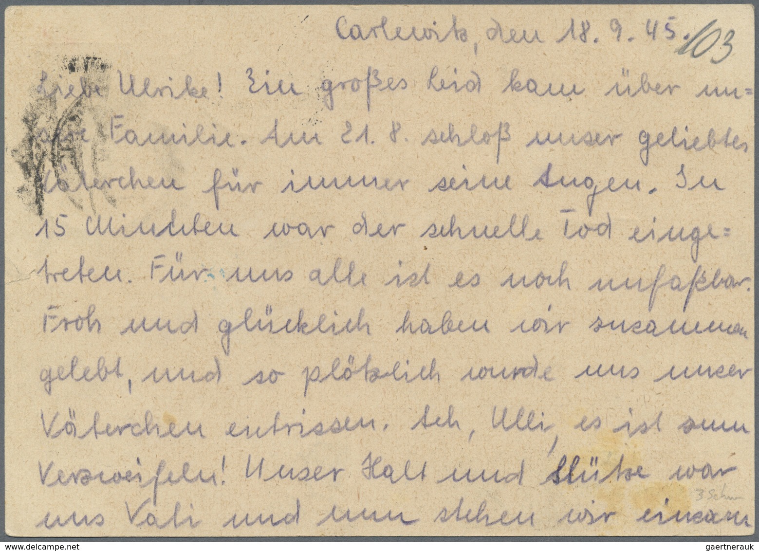 GA Sowjetische Zone - Ganzsachen: 1945, (6 Pf) Auf 6 Pfg. Aufbrauch-Ganzsachenkarte Damgarten Bedarfsge - Altri & Non Classificati