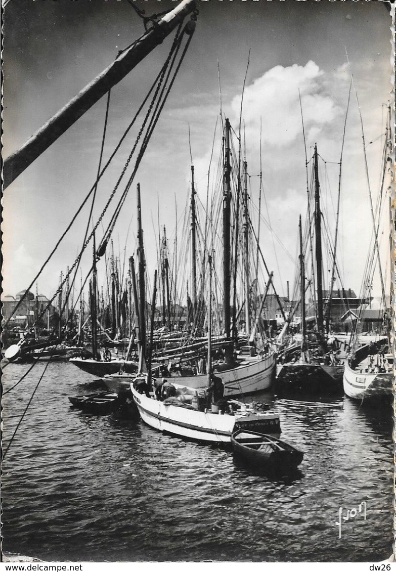 Concarneau (Finistère), Thoniers En Armement - Carte Yvon Non Circulée - Concarneau