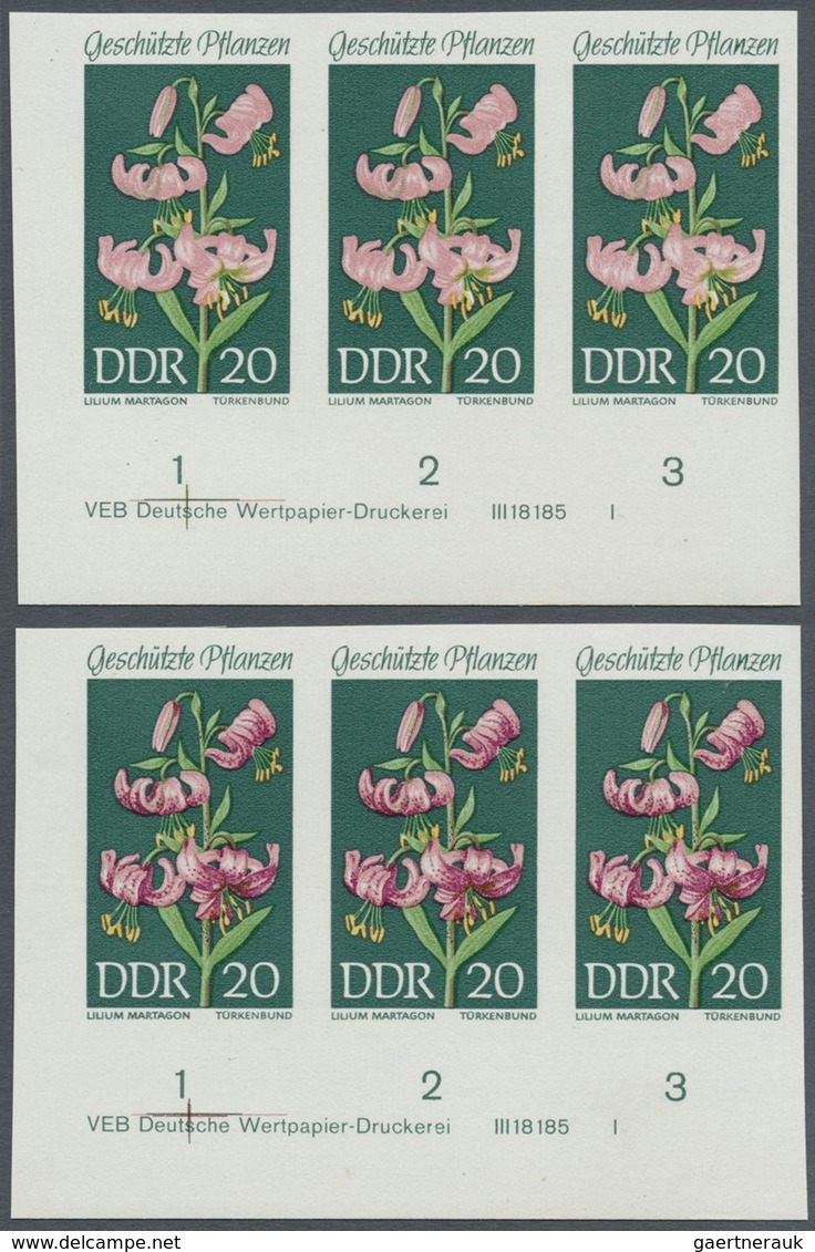 ** DDR: 1969, Geschützte Heimische Pflanzen 20 Pf. 'Türkenbund (Lilium Martagon)' In 5 Verschiedenen Un - Altri & Non Classificati