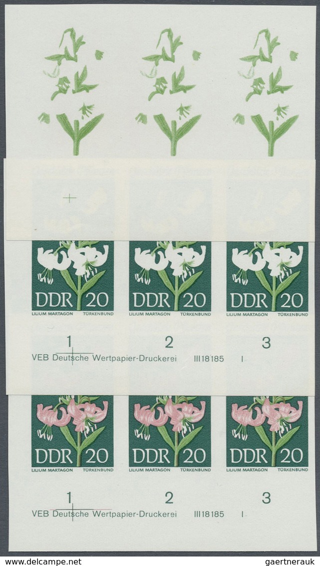 ** DDR: 1969, Geschützte Heimische Pflanzen 20 Pf. 'Türkenbund (Lilium Martagon)' In 5 Verschiedenen Un - Altri & Non Classificati