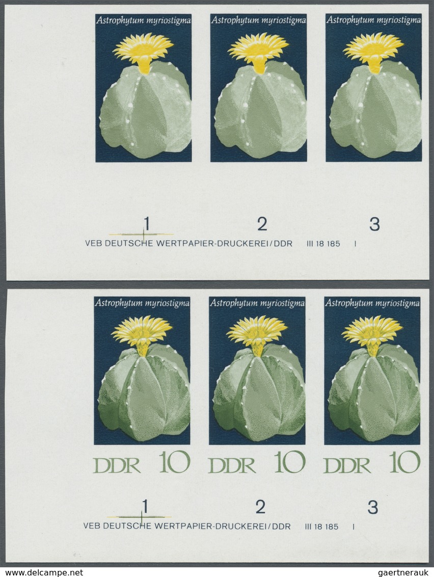 ** DDR: 1970, Kakteen 10 Pf. 'Bischofsmütze (Astrophytum Myriostigma)' In 4 Verschiedenen Ungezähnten W - Autres & Non Classés