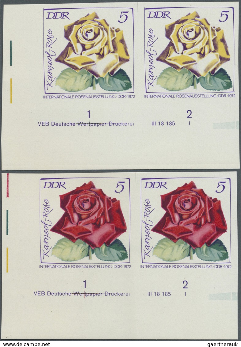 ** DDR: 1972, Internationale Rosenausstellung In Erfurt 5 Pf. 'Karneol-Rose (Teehybride)' In 4 Verschie - Altri & Non Classificati