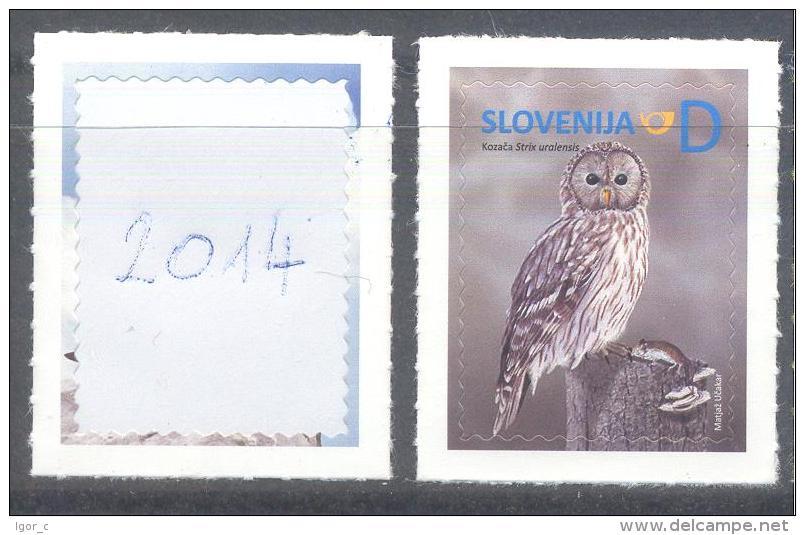 Fauna Birds 2014: Owls Eulen Ural Owl - Strix Uralensis, Eule Hibou Chouette Gufo - Owls