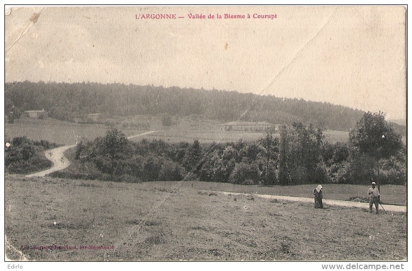 ***  55  ****  L'argonne - Vallée De La Bienne à Courupt PLIS - Autres & Non Classés