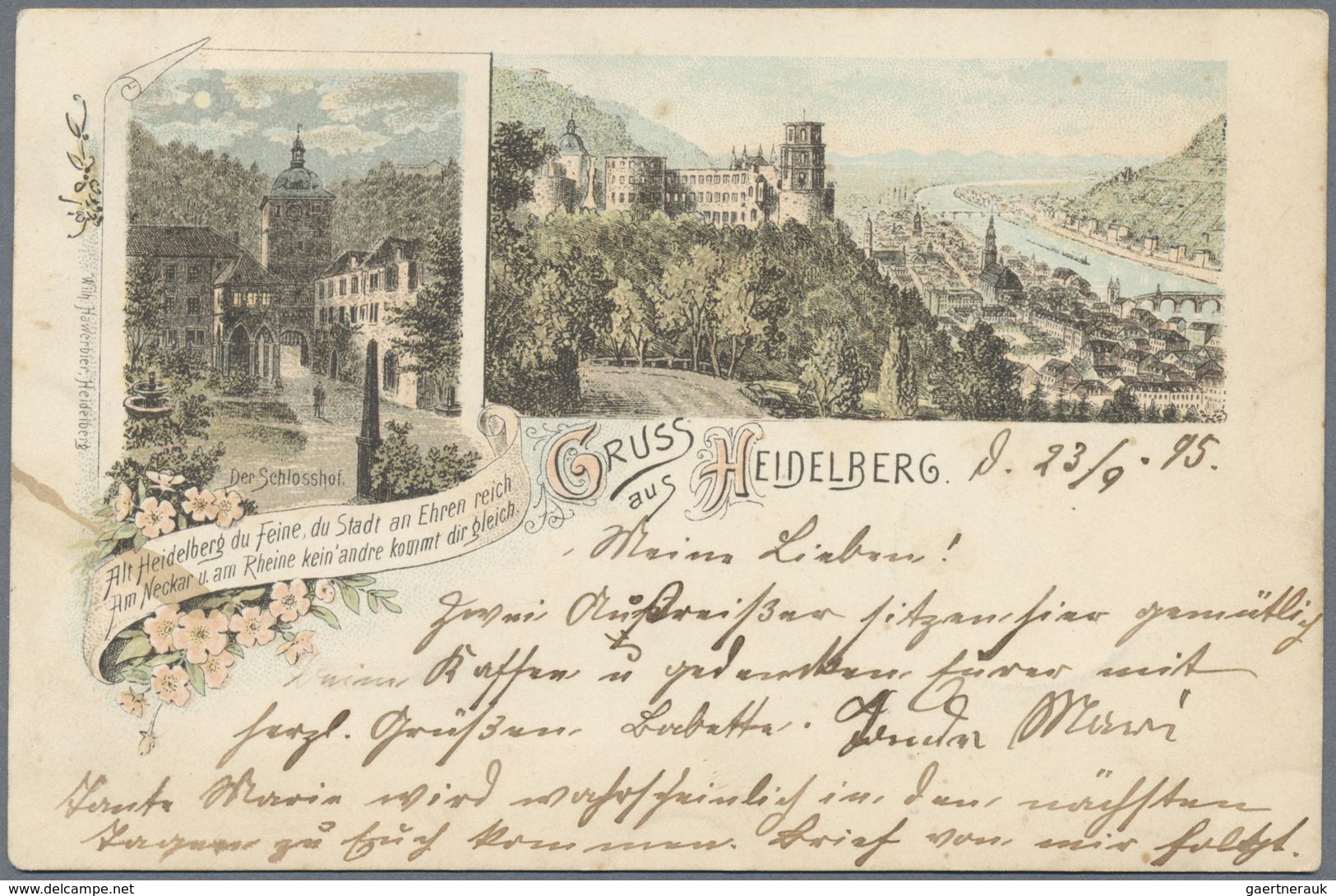 Ansichtskarten: Baden-Württemberg: Heidelberg, Dickes Altes AK Album Mit Rund 450 Karten Ab 1890, Da - Sonstige & Ohne Zuordnung