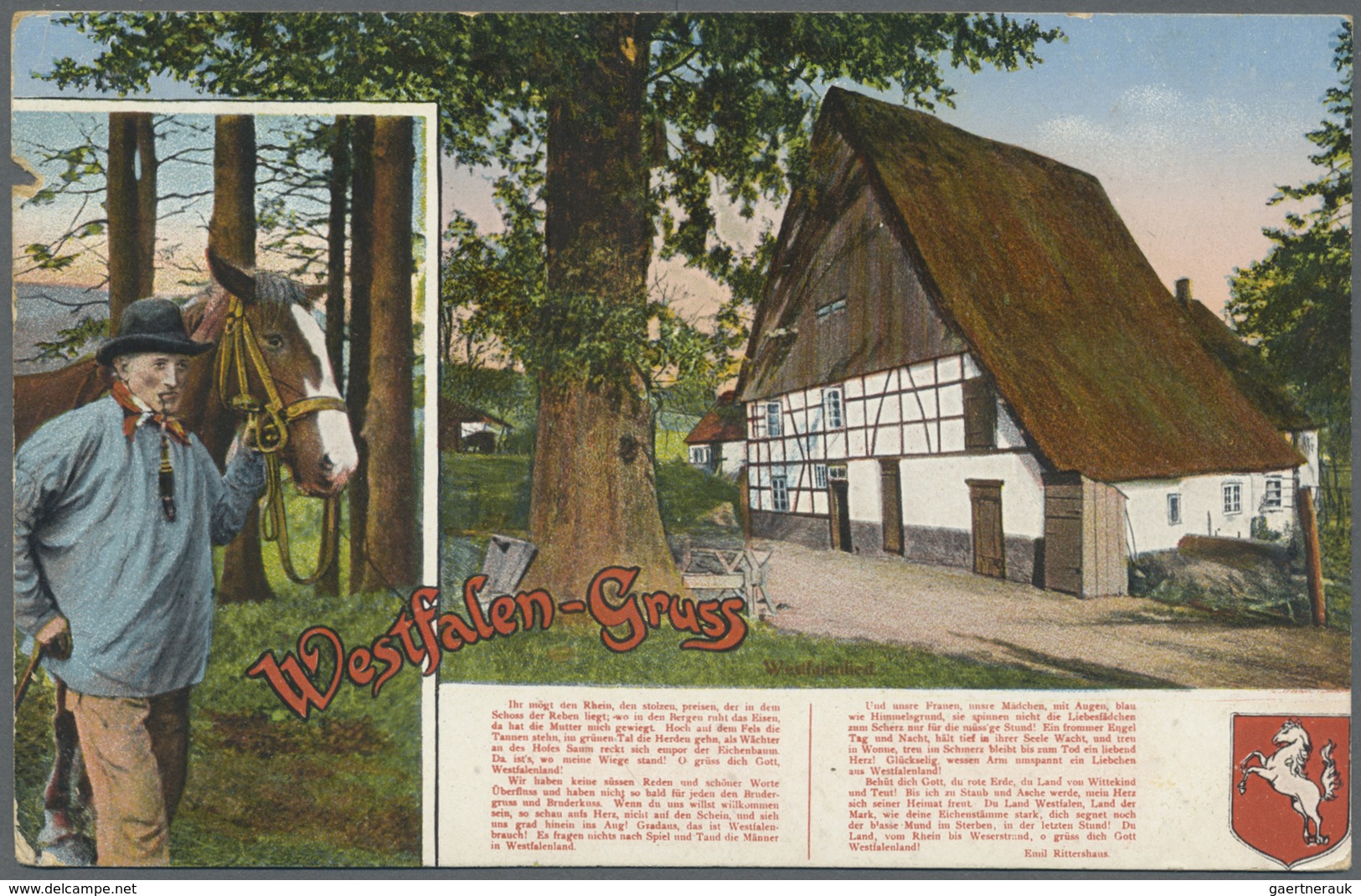 Ansichtskarten: Nordrhein-Westfalen: MÜNSTER, TELGTE, DÜLMEN, WARENDORF, COESFELD mit Umgebung und W