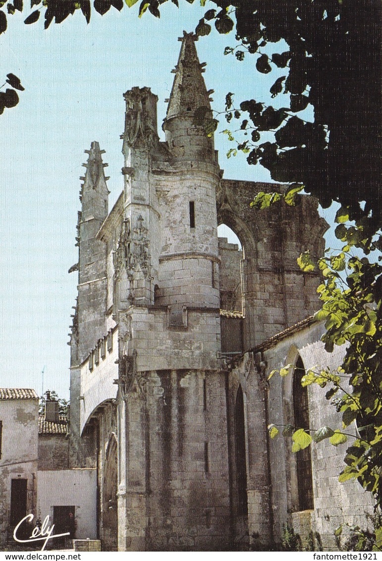 SAINT  MARTIN DE RE  L'EGLISE (dil341) - Saint-Martin-de-Ré