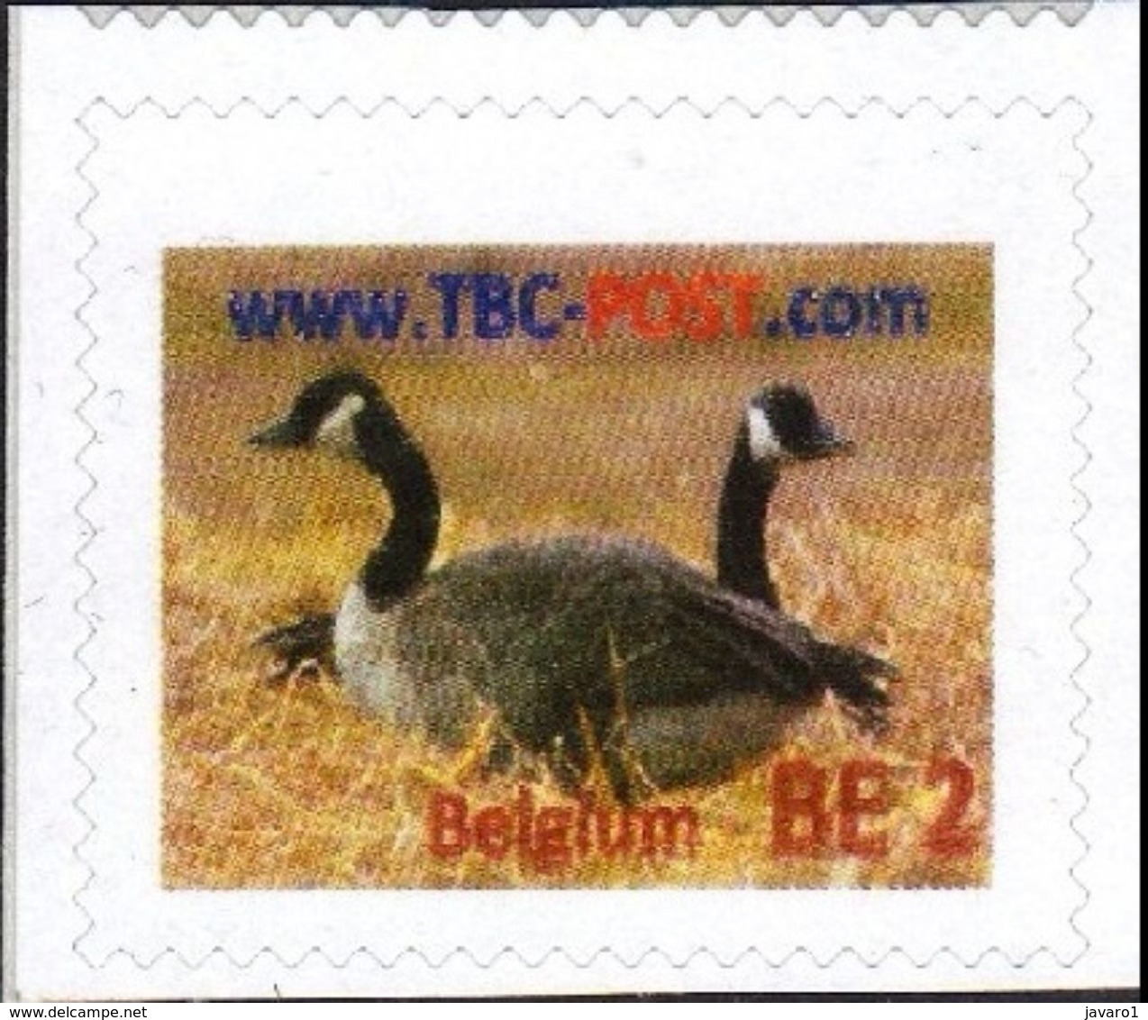 TBC POST : BE-2  EEND  MINT - Privat- Und Lokalpost [PR & LO]