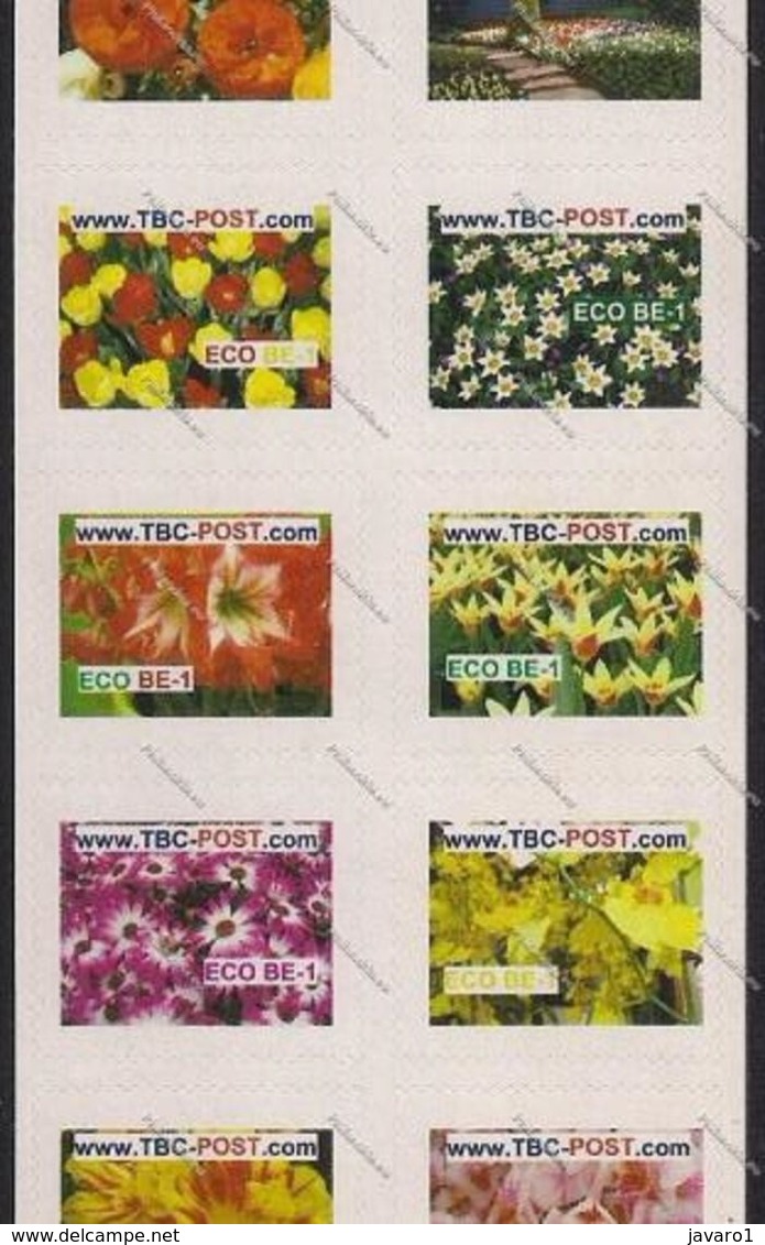 TBC POST : BE-1   Set Of 10 Different KEUKENHOF   Flowers Bloemen Fleurs   MINT - SHEET - Privées & Locales [PR & LO]