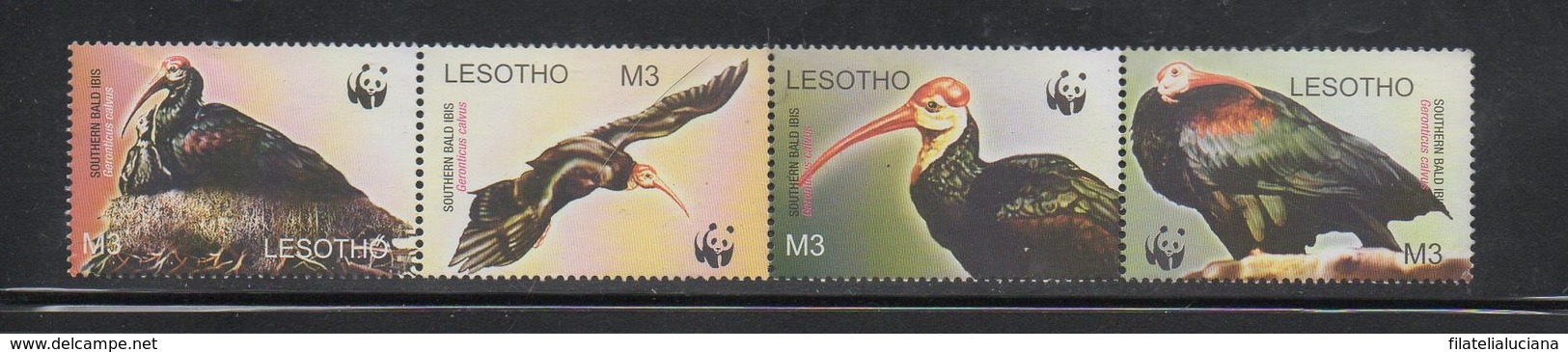 Lesotho WWF Southern Bald Ibis Birds MNH Strip Set Scott 1934-1937 - Neufs