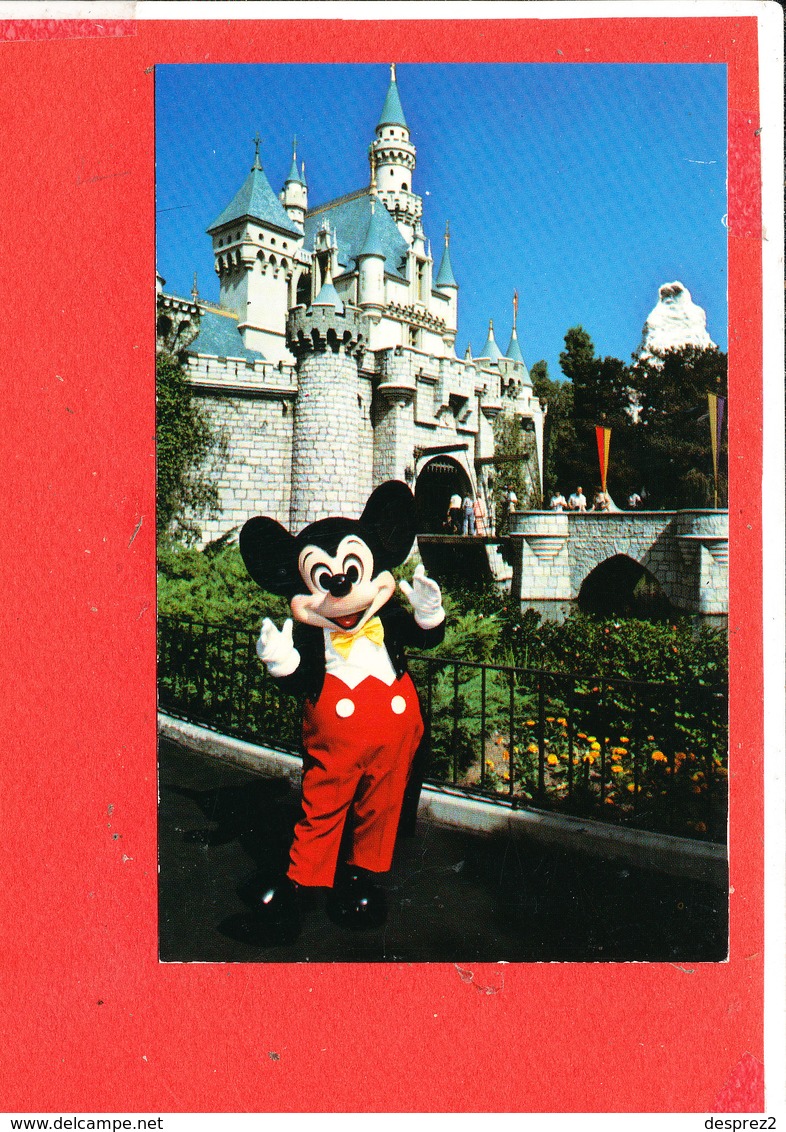 DISNEYLAND DISNEY Post Card Descriptif Au Verso - Disneyland