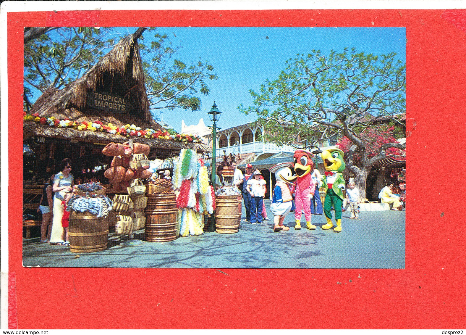 DISNEYLAND DISNEY Post Card Descriptif Au Verso - Disneyland