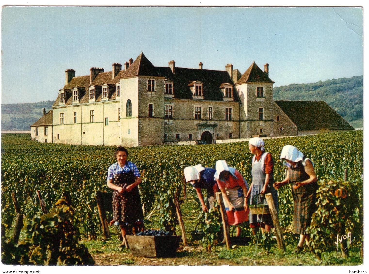 VOUGEOT - Château Du Clos Vougeot - Autres & Non Classés