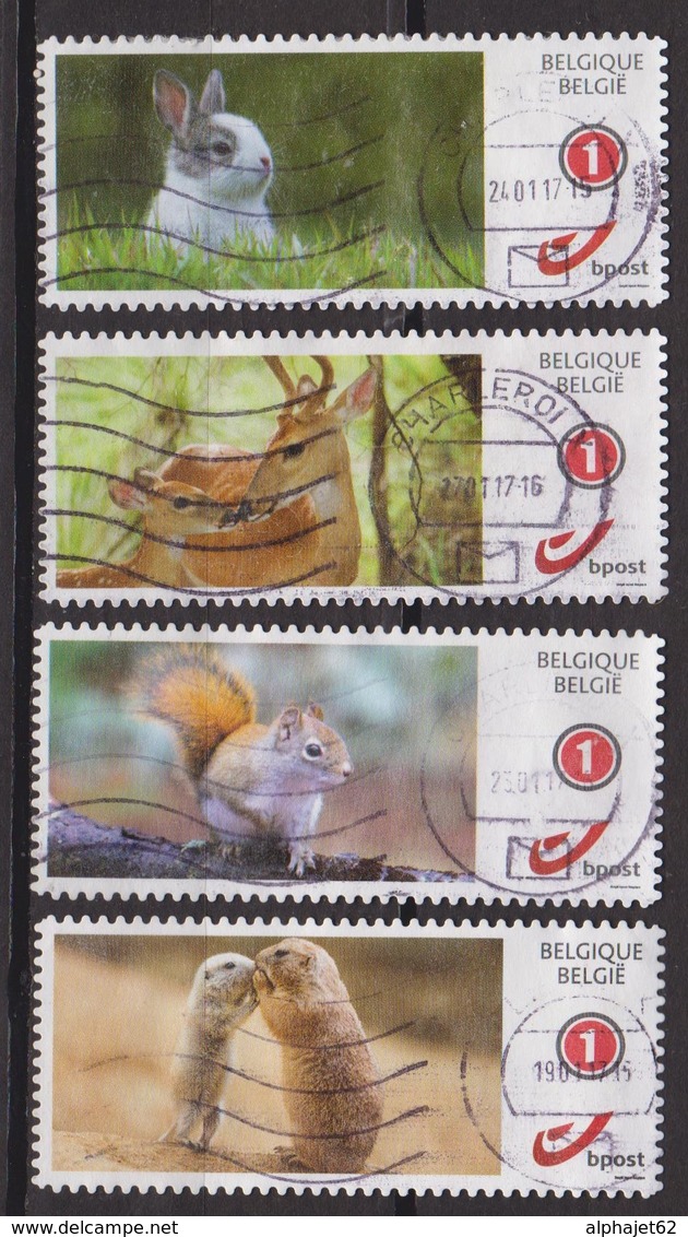 Animaux, Faune - Biche Et Faon, Eureuil, Lapin - BELGIQUE - Marmotte - Timbres Spéciaux Autocollants - 2016 - Other & Unclassified