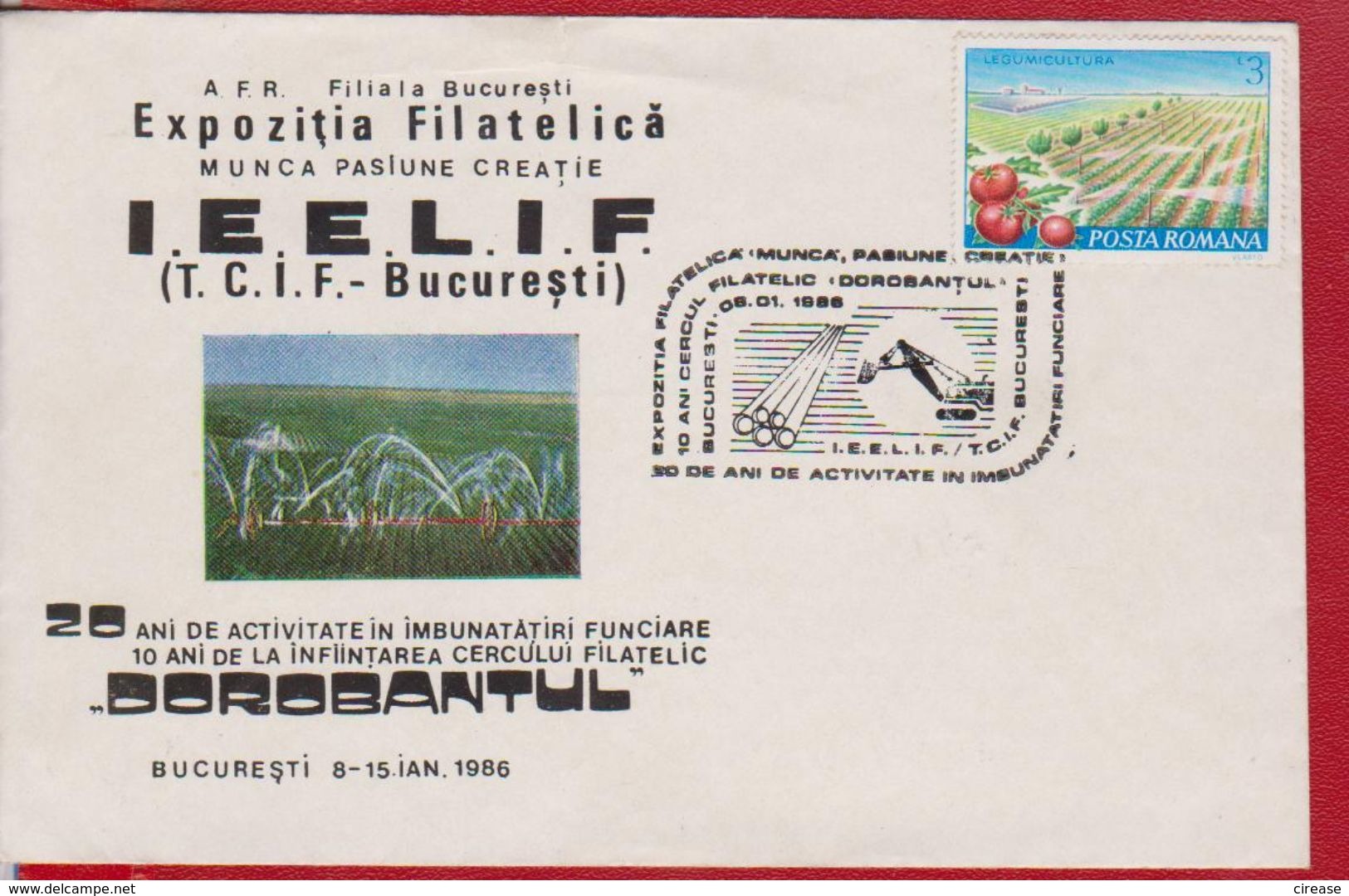 AGRICULTURE IRRIGATION SYSTEM, TOMATES ROMANIA - Agriculture