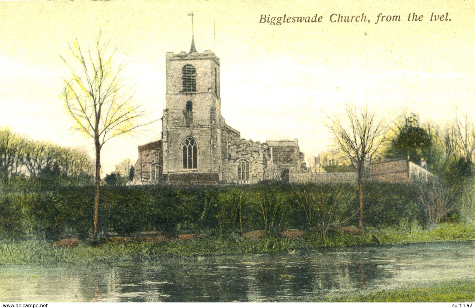 BEDS - BIGGLESWADE CHURCH FROM THE IVEL Bd290 - Autres & Non Classés