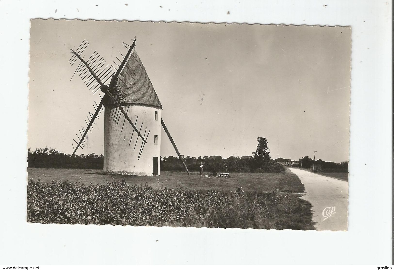 SAINT PIERRE D'OLERON 13 VIEUX MOULIN ROUTE DE LA COTINIERE - Ile D'Oléron