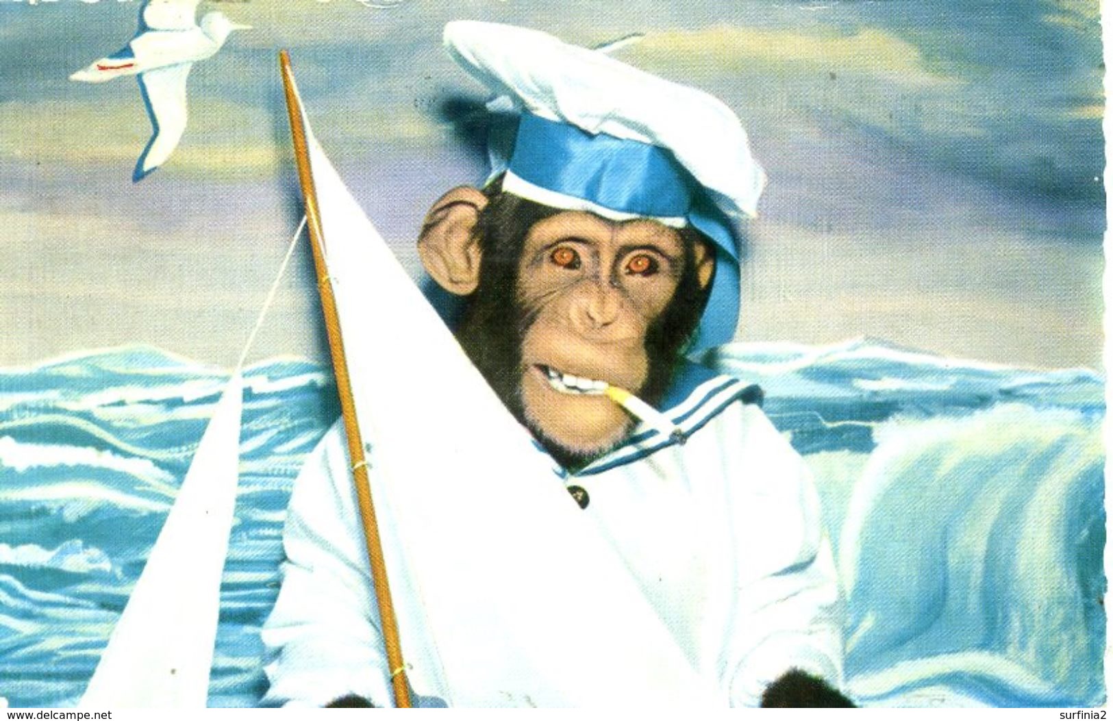 ANTHROPOMORPHIC MONKEY - AS A SAILOR - Monkeys