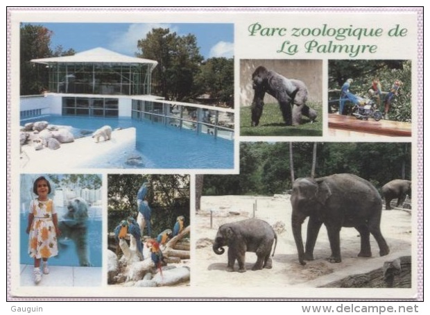 CPM - PARC ZOOLOGIQUE DE LA PALMYRE - MULTIVUES - Edition Artaud AS - Autres & Non Classés