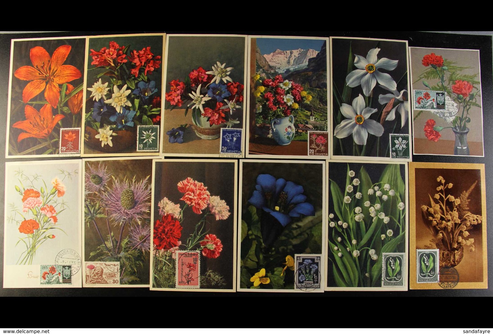 FLOWERS MAXI-CARDS 1950's All Different World Group, Inc Bermuda, Netherlands, Luxembourg, Hungary, Bulgaria, Belgium, A - Non Classificati