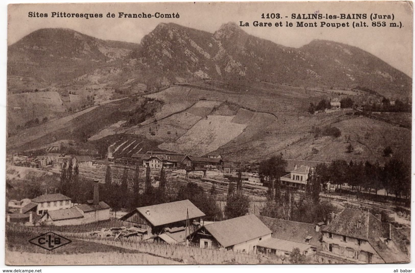 Salins Les Bains : La Gare Et Le Mont Poupet (Editeur C. Lardier, Besançon, CLB N°1103) - Autres & Non Classés