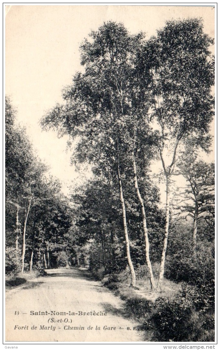 78 SAINT-NOM-la-BRETECHE - Foret De Marly - Chemin De La Gare - St. Nom La Breteche