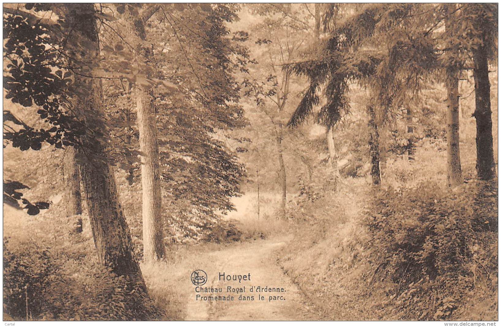 HOUYET - Château Royal D'Ardenne - Promenade Dans Le Parc - Houyet