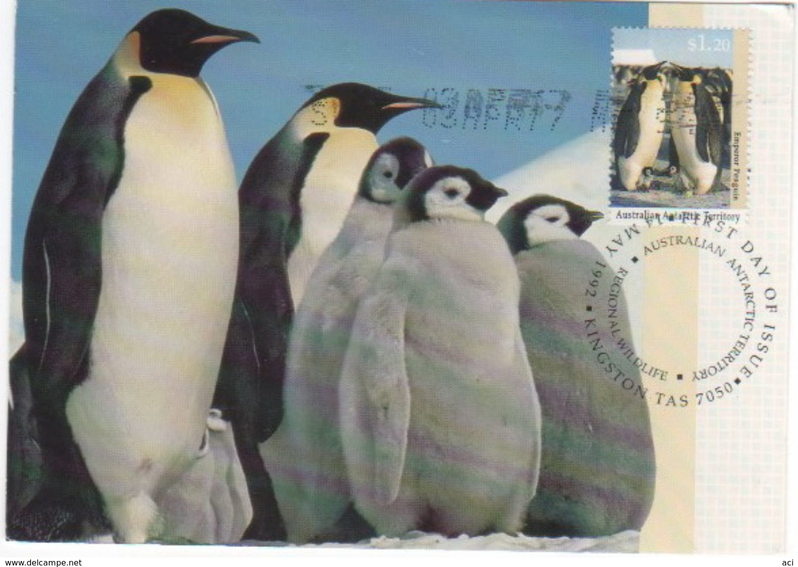 Australian Antarctic Territory 2017 Postally Used Maximum Card,Wildlife,Emperor Penguin - Tarjetas – Máxima