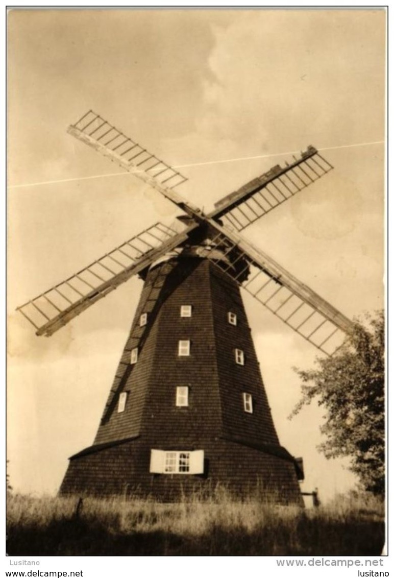 KURORT KRAKOW AM SEE WINDMUHLE WINDMILL MILL MOLEN MOULIN - DDR GERMANY (2 SCANS) - Krakow