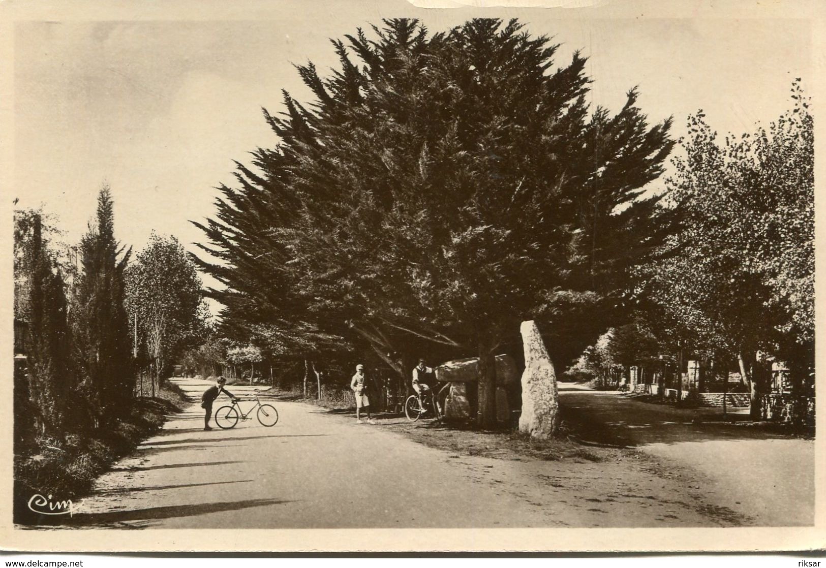 MENHIR(CARNAC) - Dolmen & Menhirs