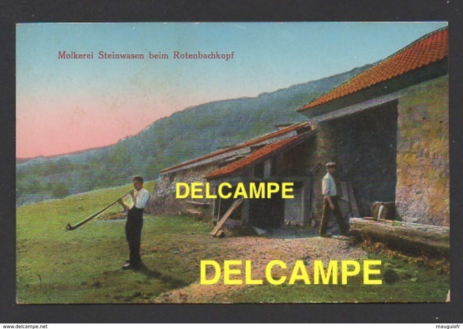 DD / 68 HAUT-RHIN / WILDENSTEIN / ROTHENBACHKOPF / FERME LAITERIE / INSTRUMENT DE MUSIQUE COMME UNE ALPENHORN / ANIMÉE - Autres & Non Classés