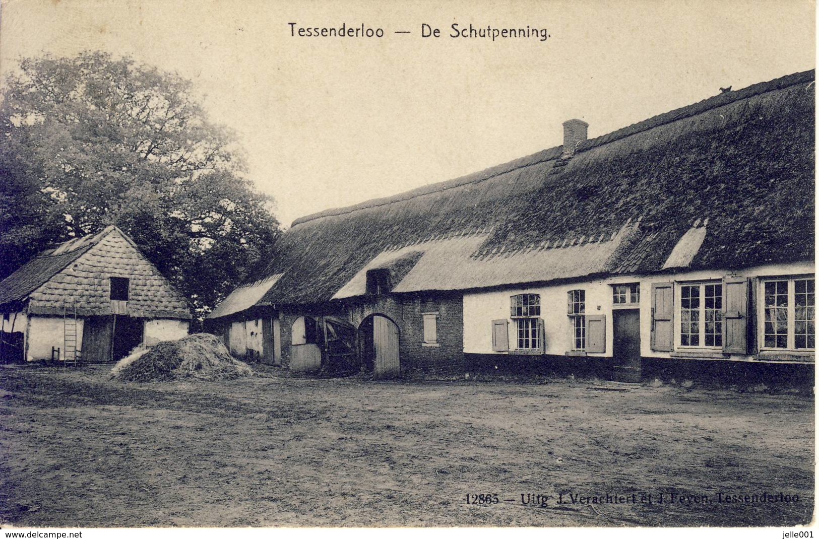 Tessenderloo Tessenderlo De Schutpenning (Hulst) 1909 - Tessenderlo
