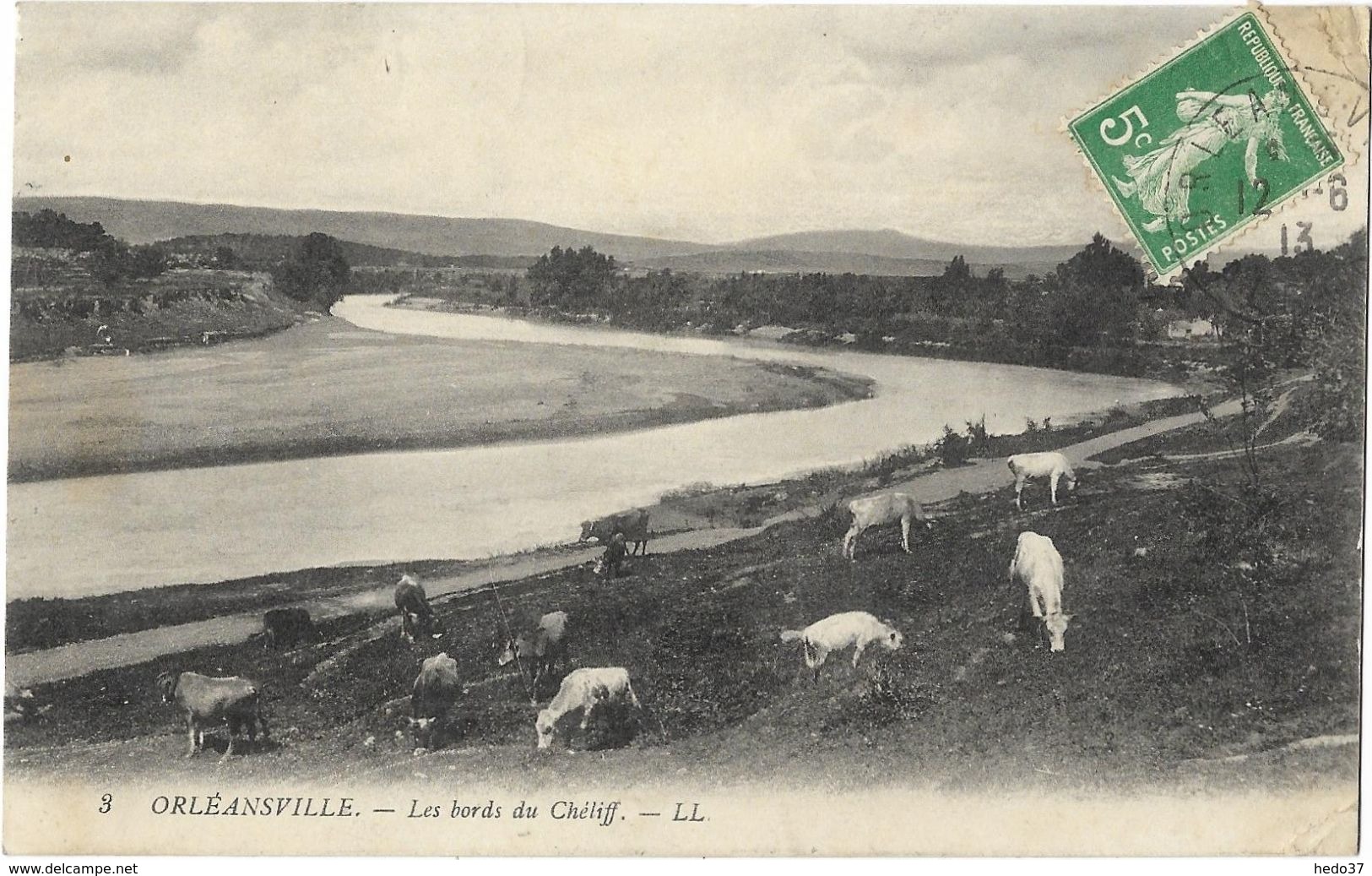 Orléansville - Les Bords Du Chélif - Chlef (Orléansville)