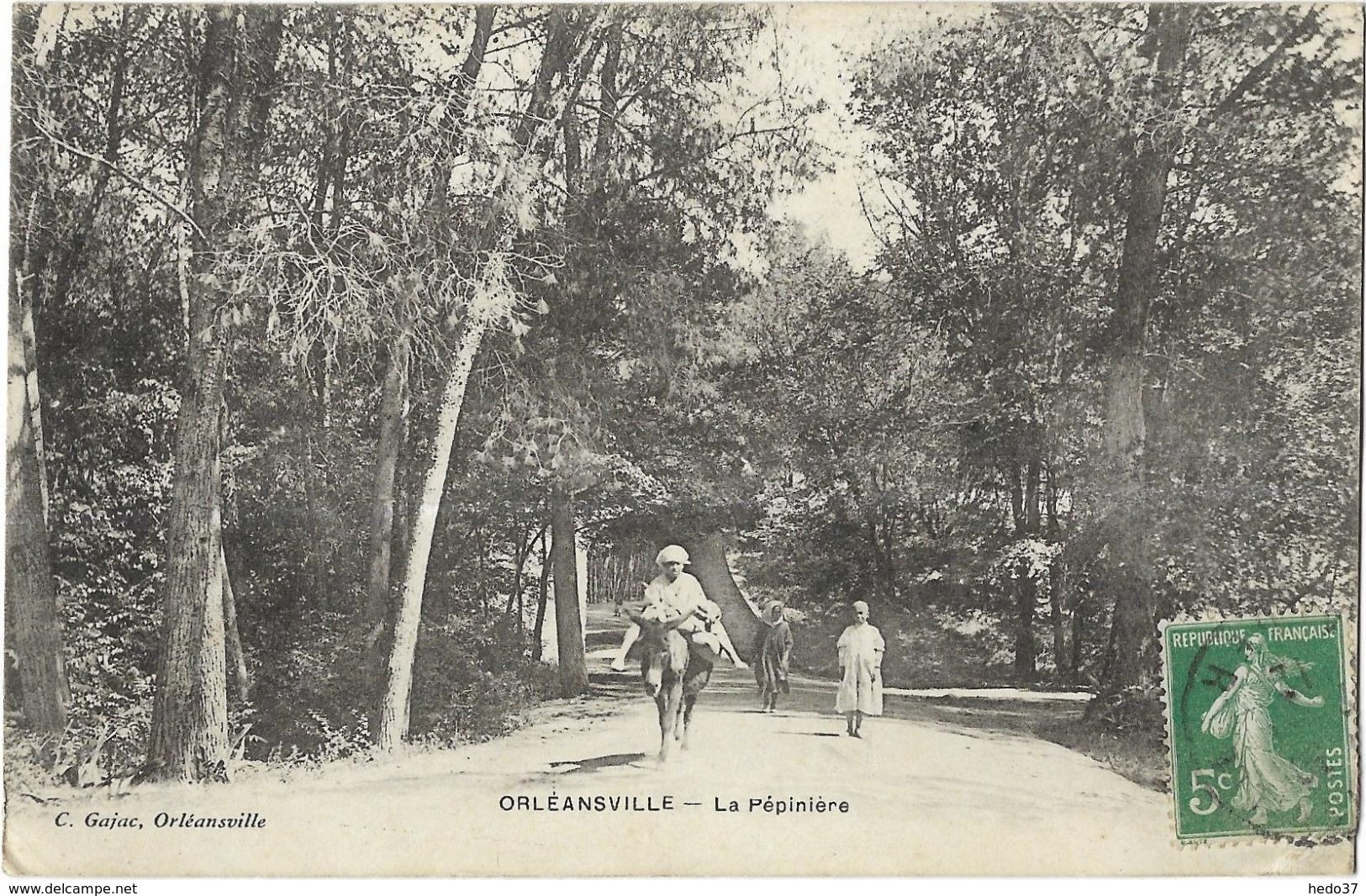 Orléansville - La Pépinière - Chlef (Orléansville)