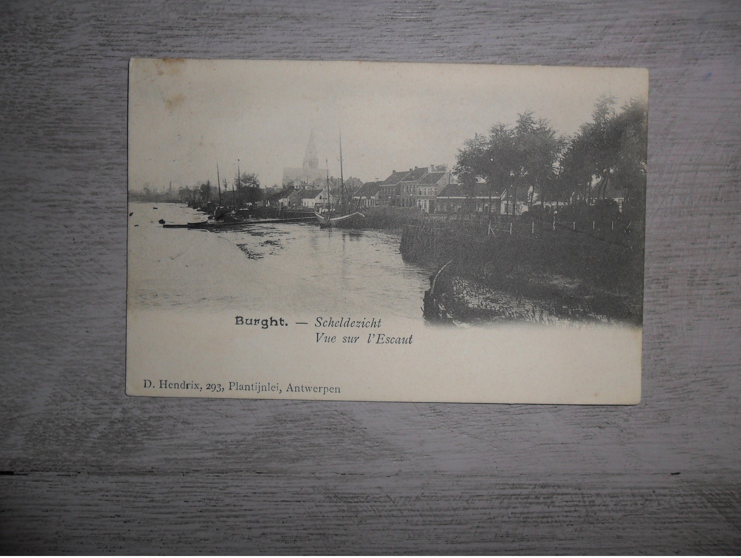 Burght ( Burcht) : Vue Sur L'Escaut - Zwijndrecht