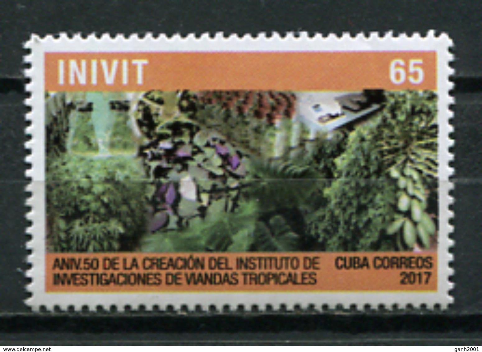 Cuba 2017 / Vegetables MNH Vegetales Légumes Gemüse / Cu6630  2 - Otros & Sin Clasificación