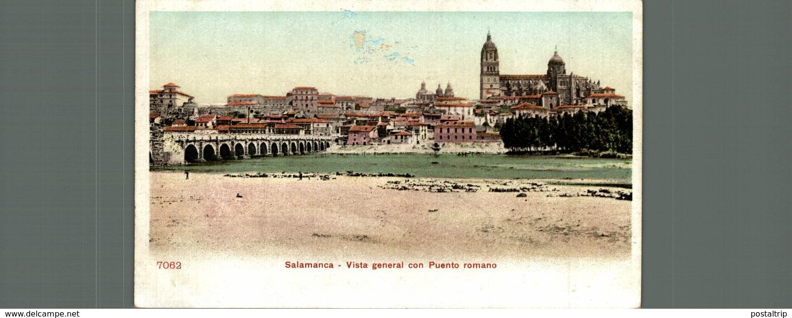 SALAMANCA, VISTA GENERAL CON PUENTE ROMANO - Salamanca